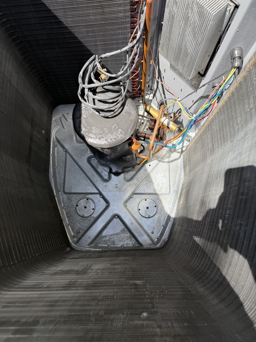 Condenser interior after a maintenance deep-clean