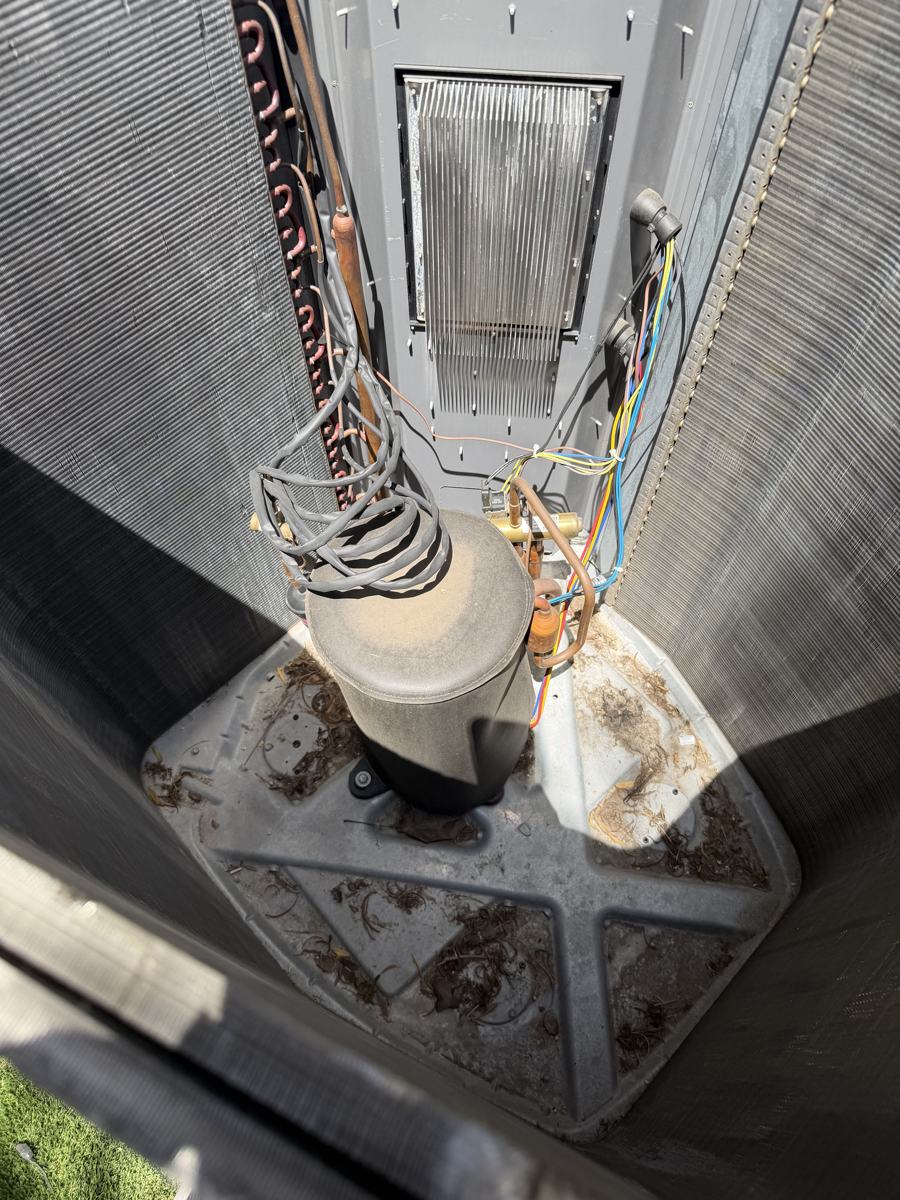 Inspecting the inside of a condenser during maintenance